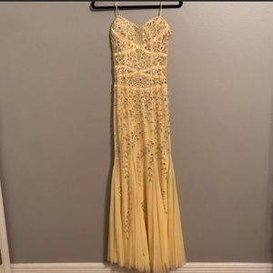 Cache ball gown